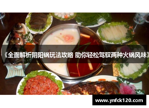 《全面解析阴阳锅玩法攻略 助你轻松驾驭两种火锅风味》